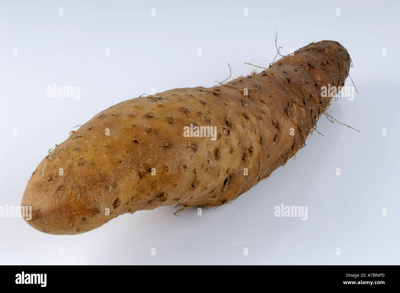 Yam root dioscorea alata hires stock photography and images Alamy