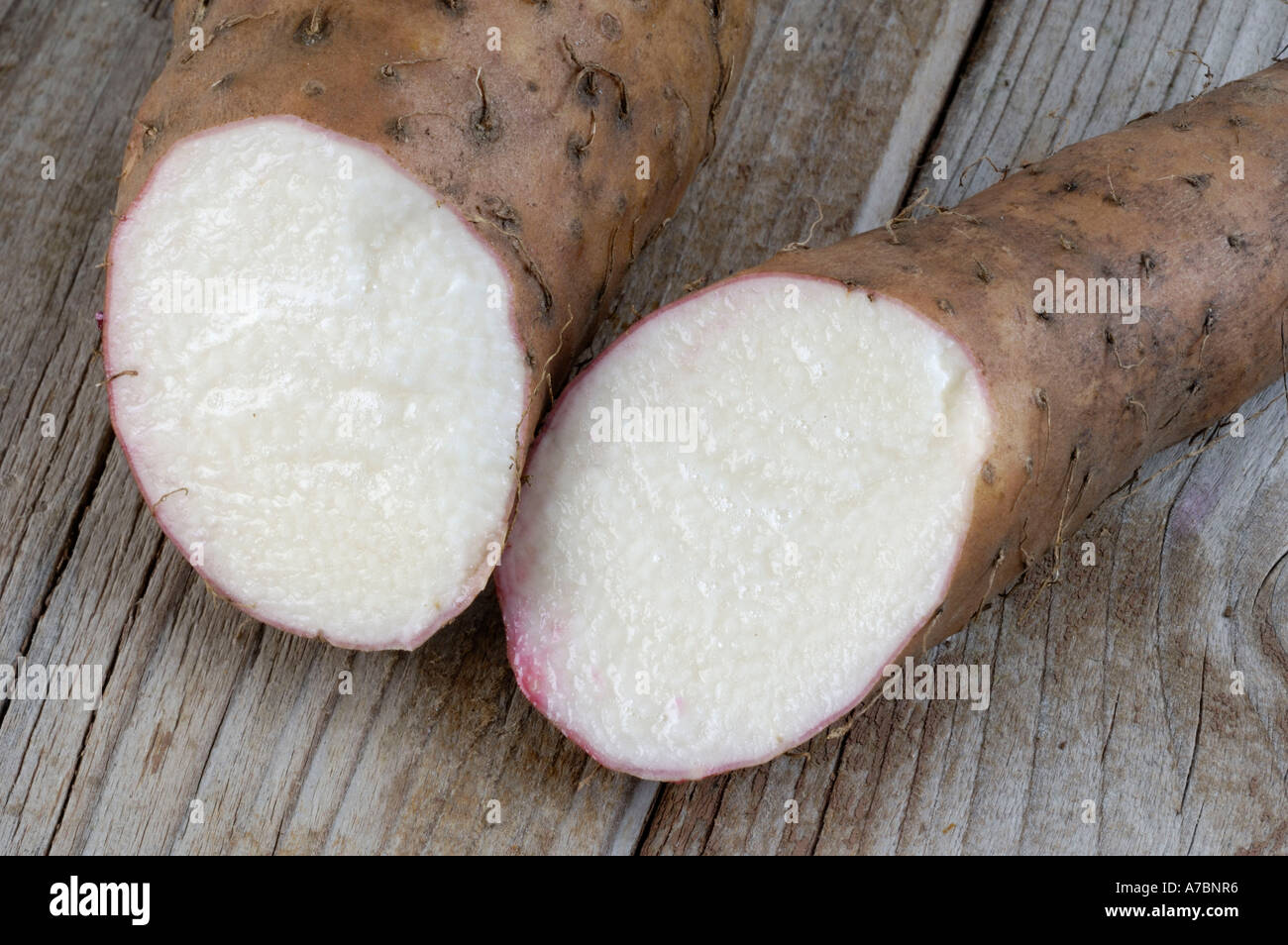 Yam root dioscorea alata hires stock photography and images Alamy