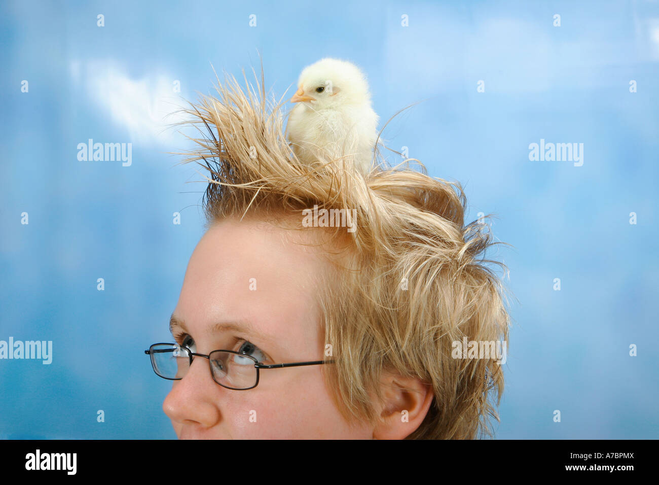 chick sitting on head Stock Photo Alamy