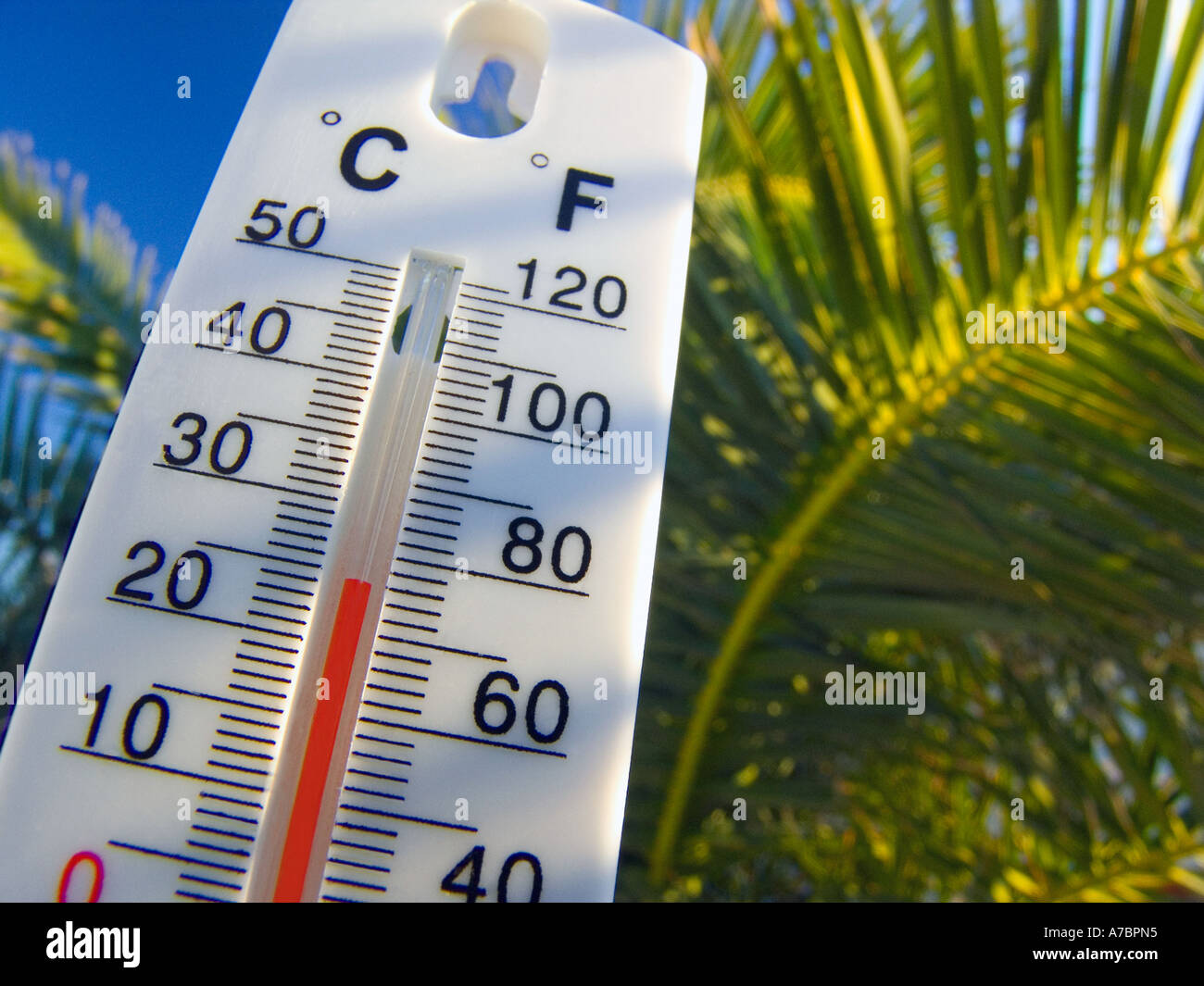 Thermometer for Measuring Air Temperature on White Background. Front View  Stock Photo - Image of fahrenheit, meter: 196742528