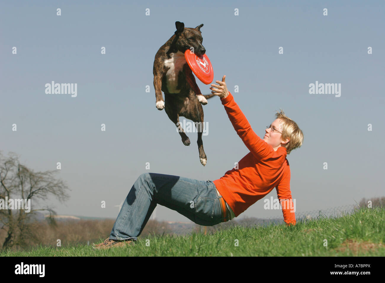 dog jumping over human Stock Photo - Alamy