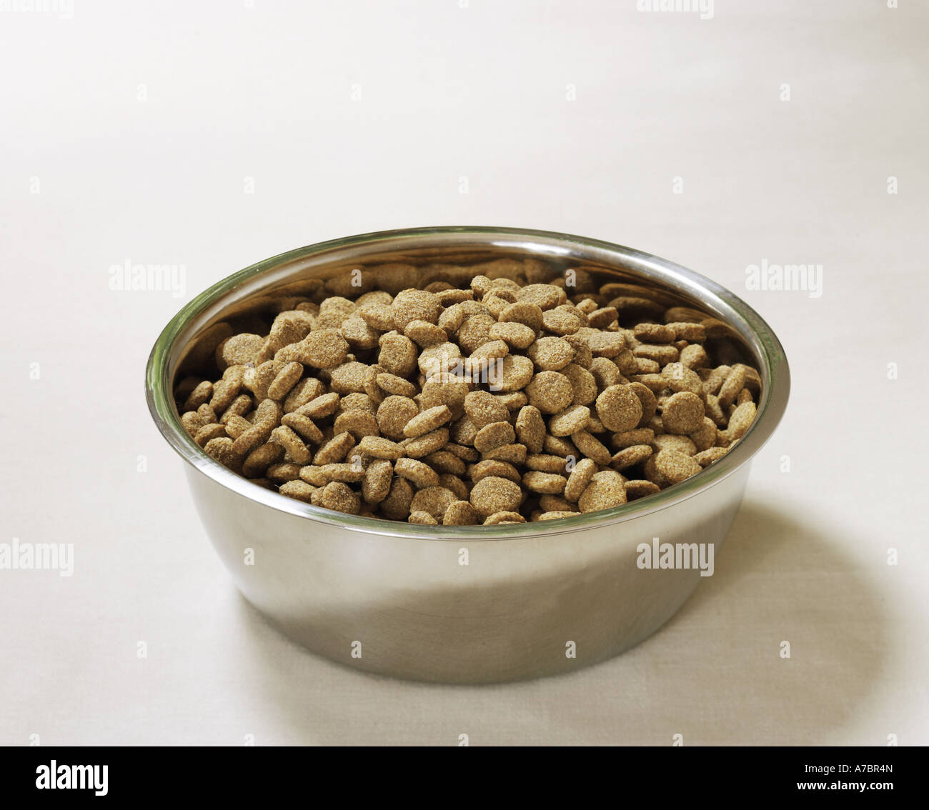 dry dog food Stock Photo