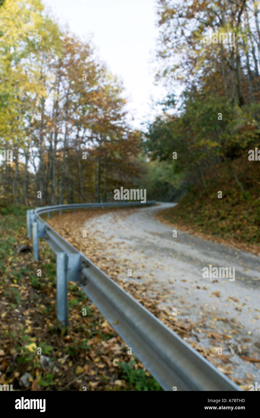 empty road covered with leaves Stock Photo - Alamy
