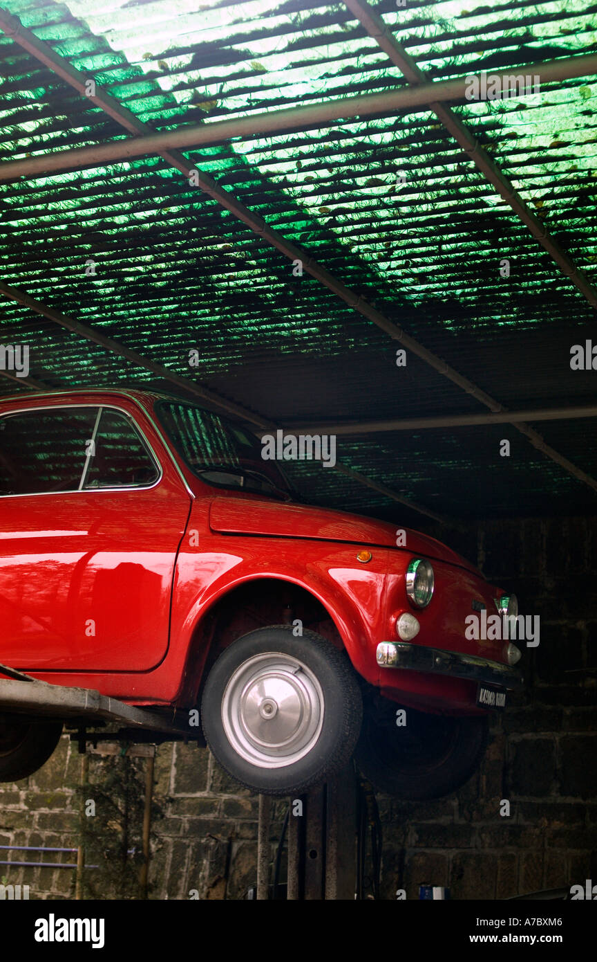 Diminitive hi-res stock photography and images - Alamy