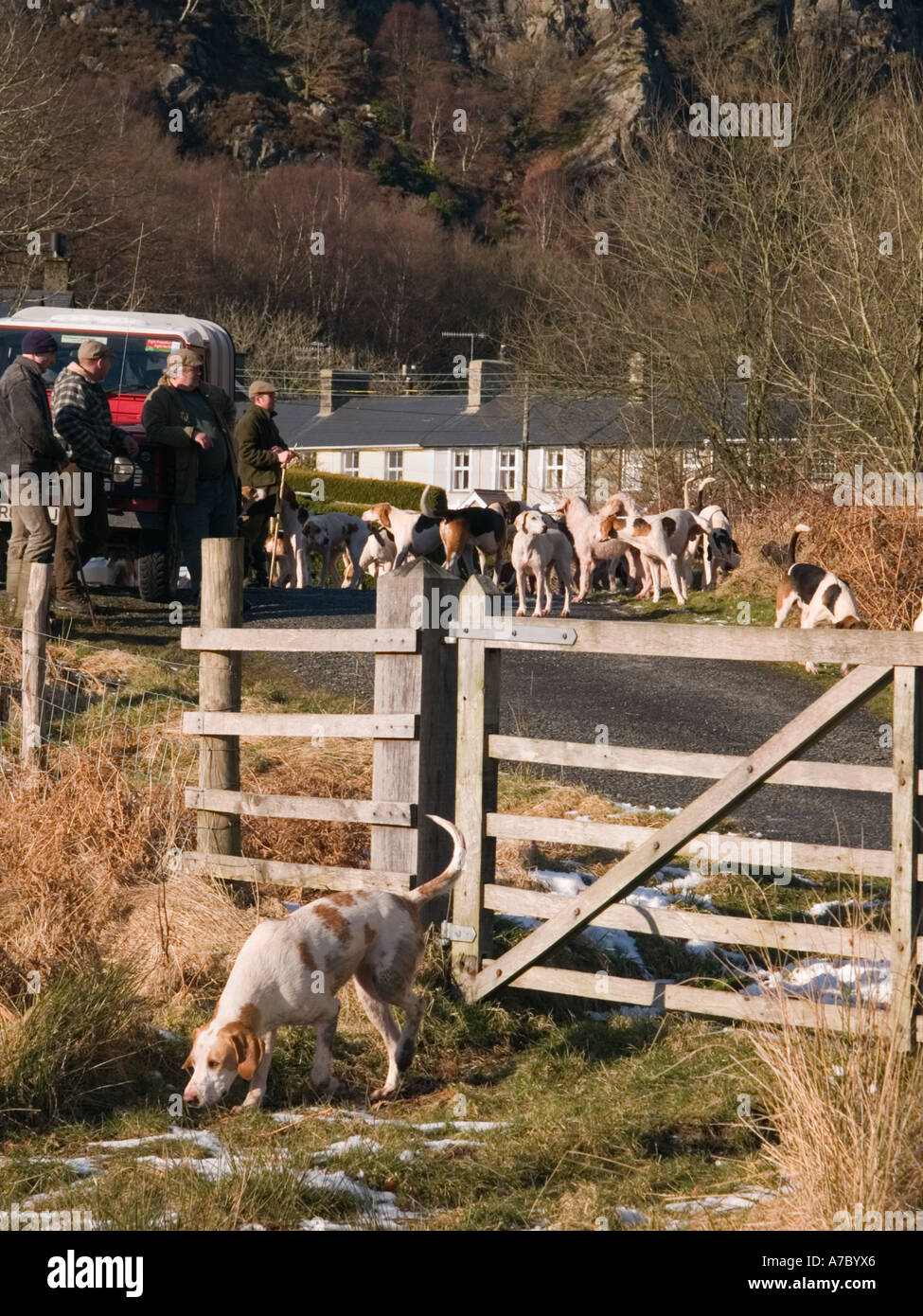 Is Hunting With Dogs Legal