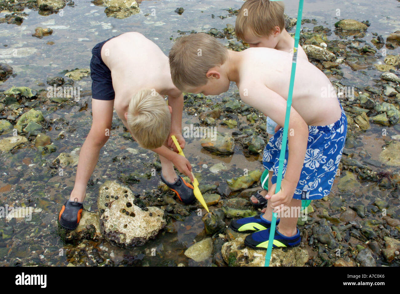 Playing with shells hi-res stock photography and images - Alamy