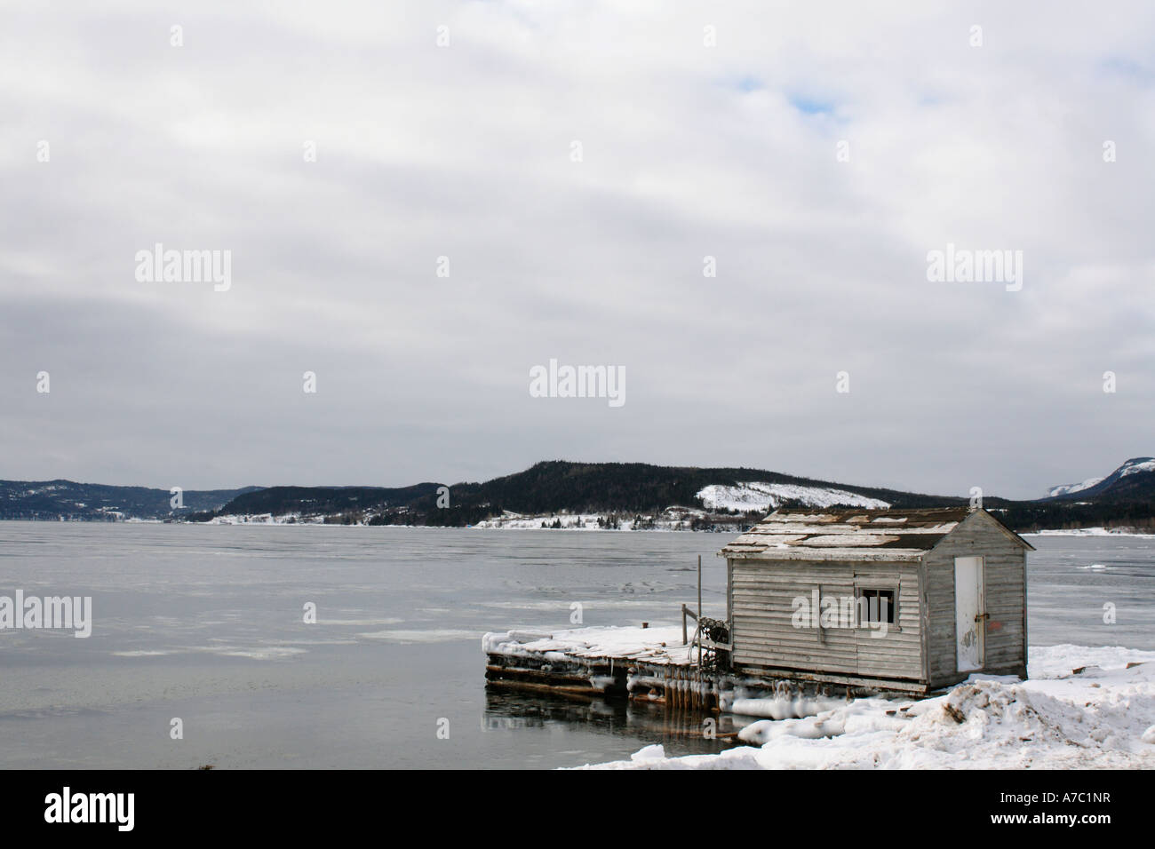 View Asmallfish Home PNG