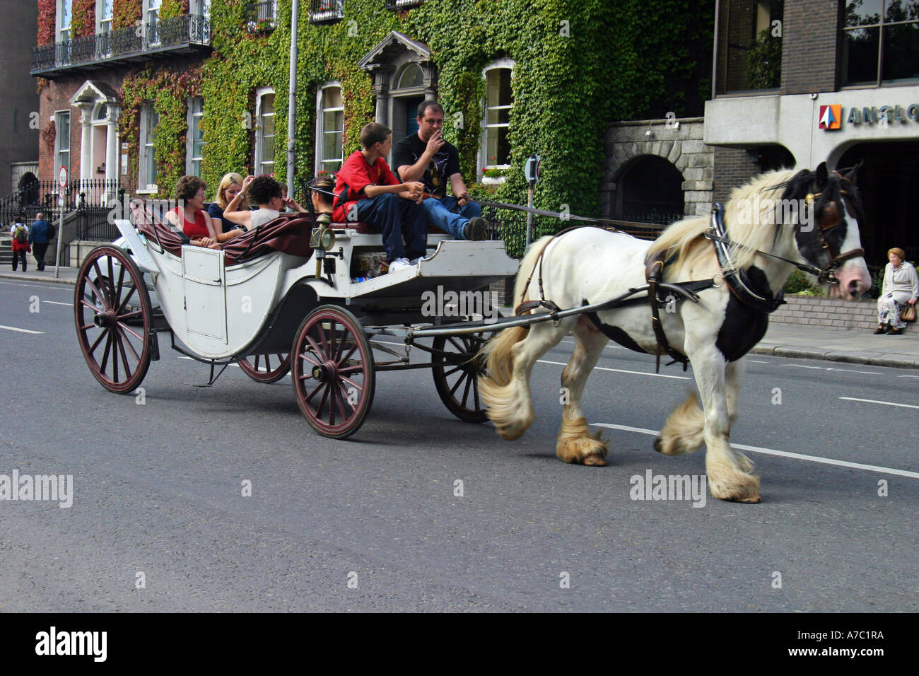 Horse seating hi-res stock photography and images - Alamy