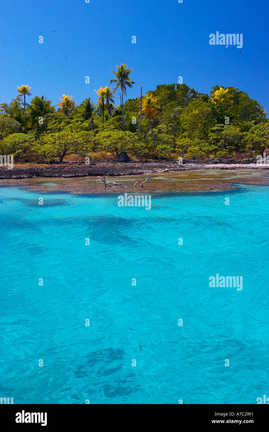atoll vs island