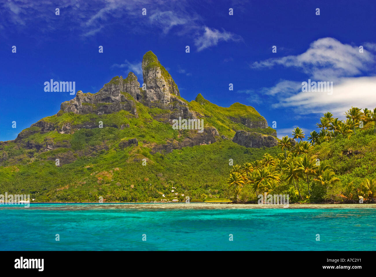 De palm island snorkel hi-res stock photography and images - Alamy