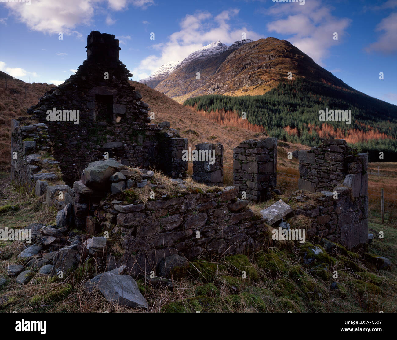 Ruined crofthouse and Beinn an Lochain, Arrochar, Argyll Stock Photo