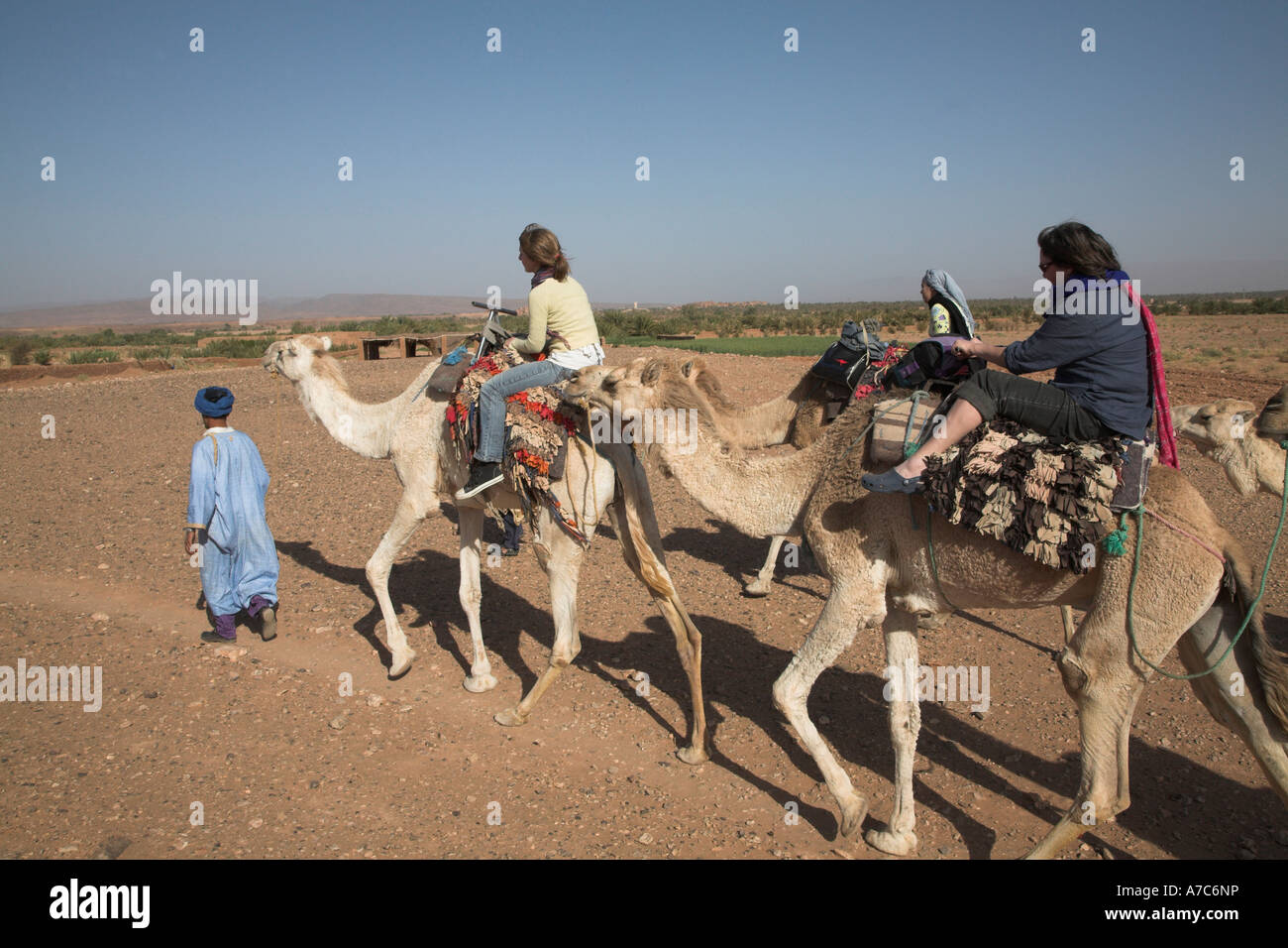 Camel trek, Zagora, Sahara desert, Morocco, north Africa Stock Photo