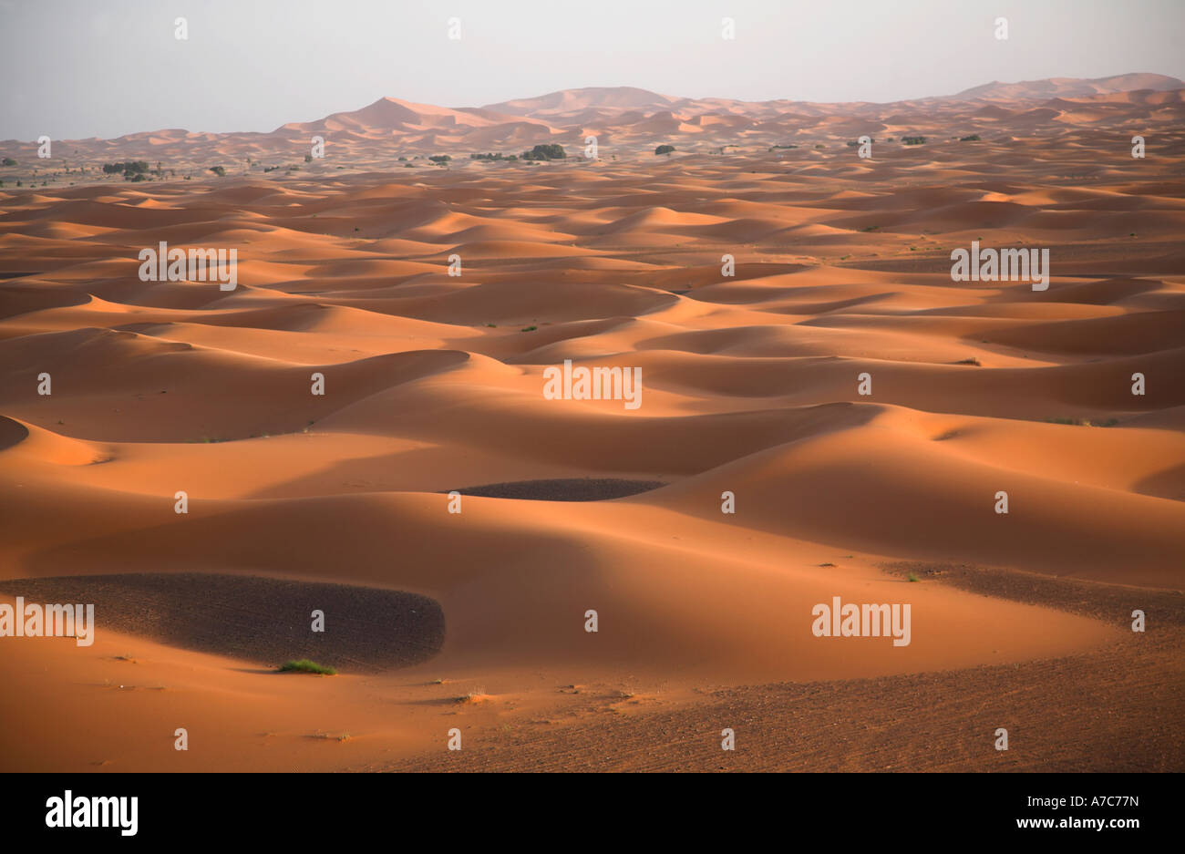 Sand dunes of Erg Chebbi Merzouga, Sahara desert, Morocco, north Africa Stock Photo