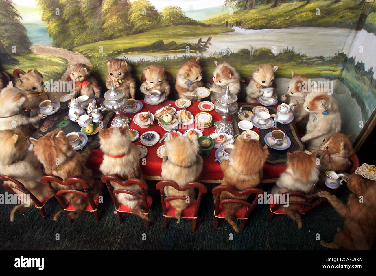 Kittens' tea party, part of a collection of stuffed animals by