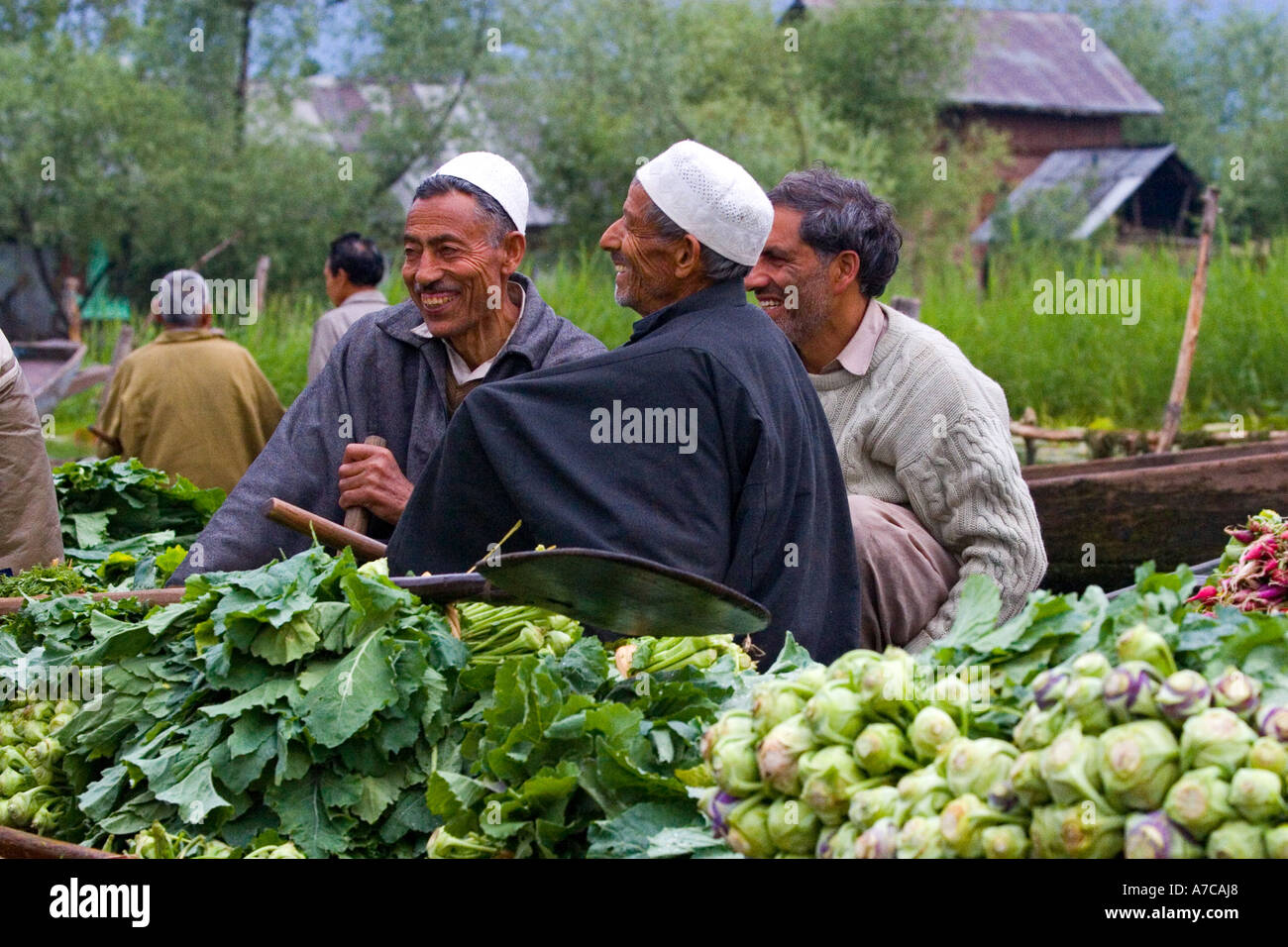 The fascinating daily sunrise vegetable market on Daal Lake Srinagar