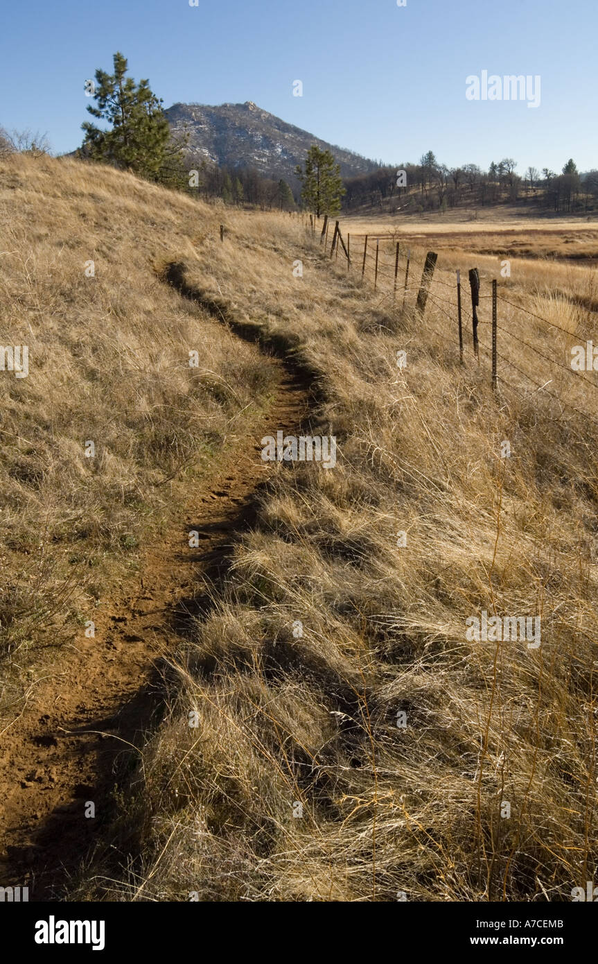 Riding and Hiking trail through Cuyamaca Rancho State Park, San Diego, California Stock Photo