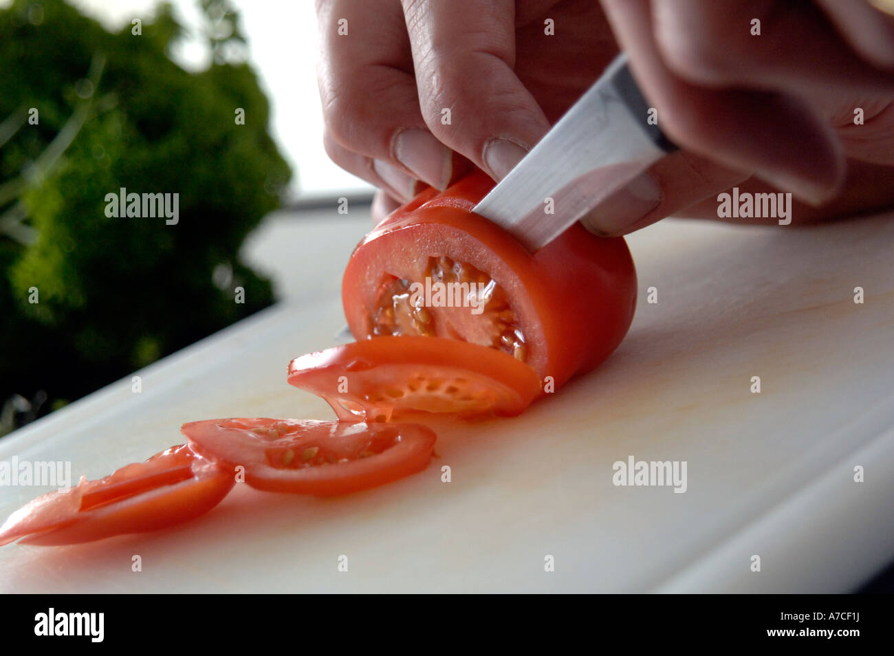 Slicing tomato with a kitchen knife Stock Photo Alamy