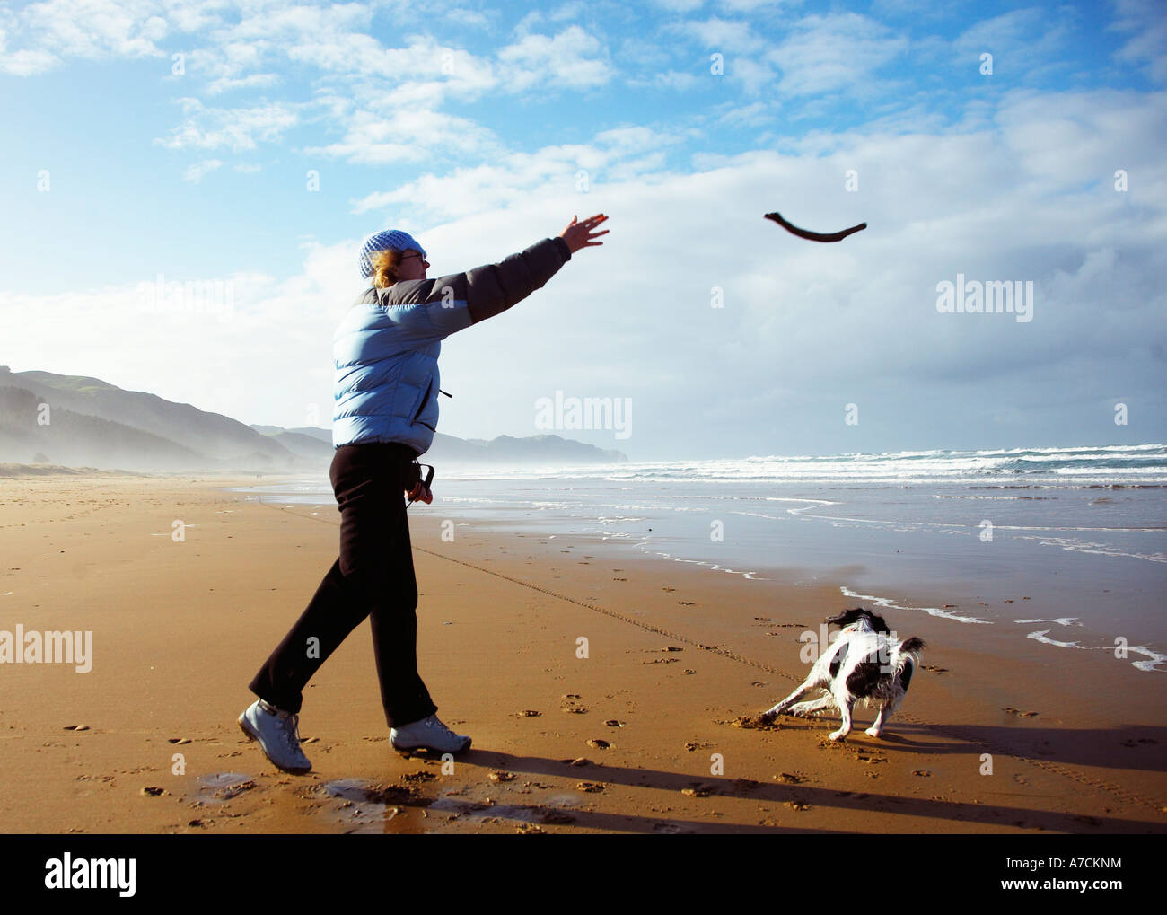 person walking there dog on the beach and throwing stick Stock Photo