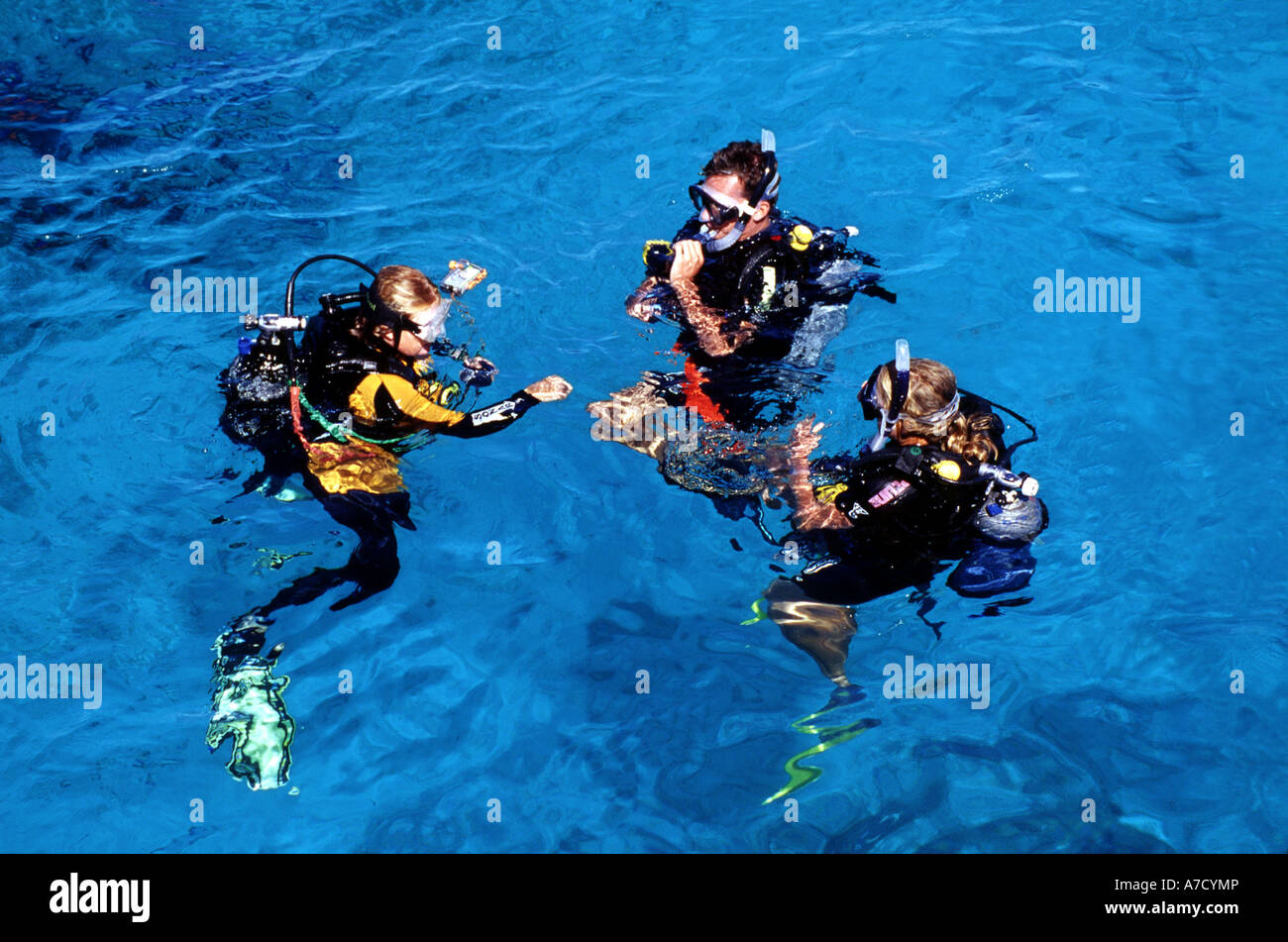 Best diving great barrier reef