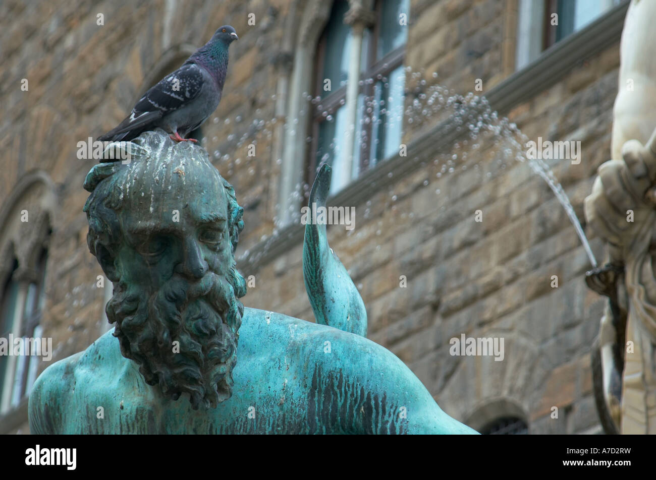 Pigeon on head of statue fountain at the Piazza de la Signoria Florence Firenze Tuscany Italy Stock Photo