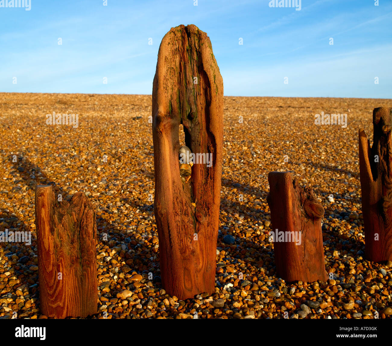 Winchelsea Beach Groynes Stock Photo Alamy