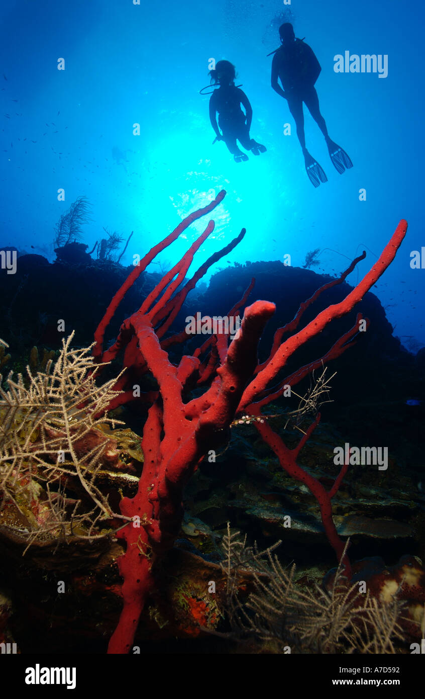 Rope captured hi-res stock photography and images - Alamy