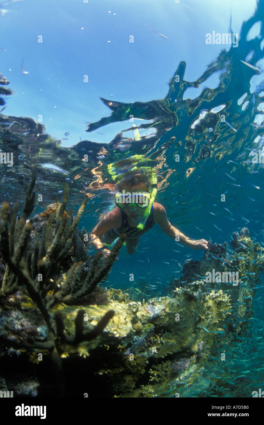 A YOUNG SNORKELER SURVEYS A FIELD OF GLASS MINNOWS AND SOFT CORALS GROWING ON WRECKAGE KEY LARGO FLORIDA Stock Photo