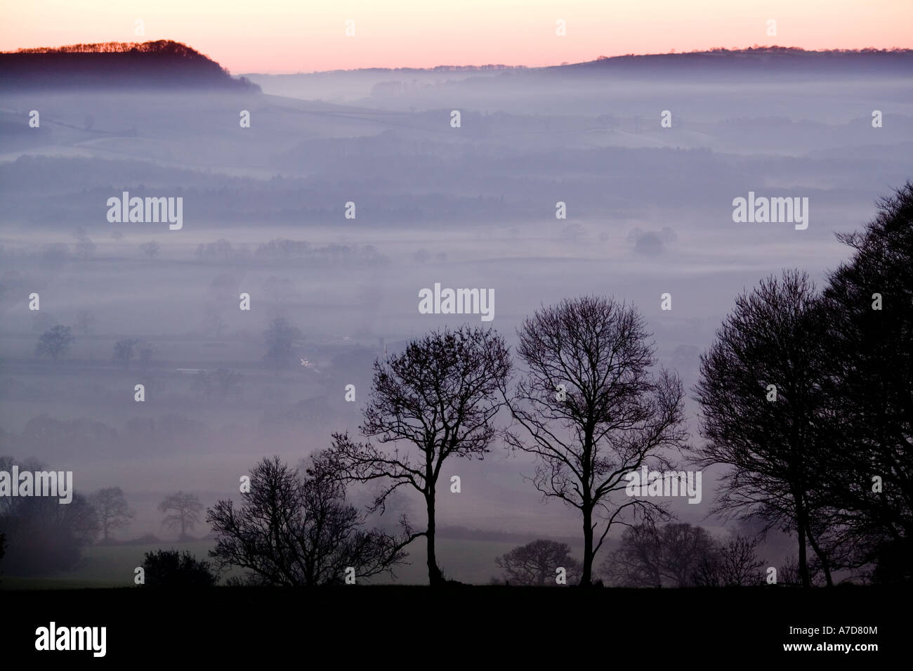 View of a rural landscape shrouded in fog at dusk with a corona of sunlight still visable in the sky, Dorset, UK Stock Photo