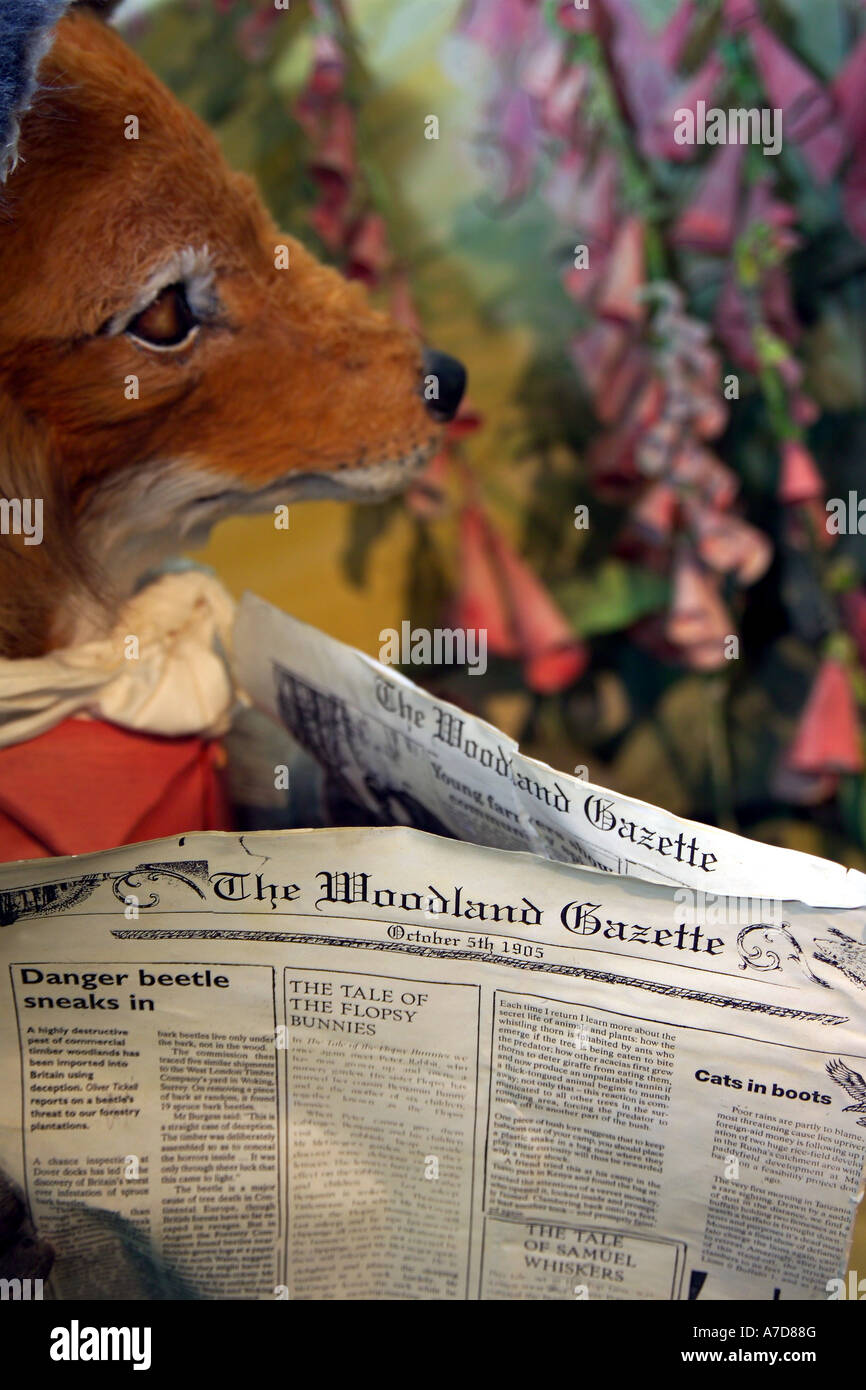 The World of Beatrix Potter Stock Photo - Alamy