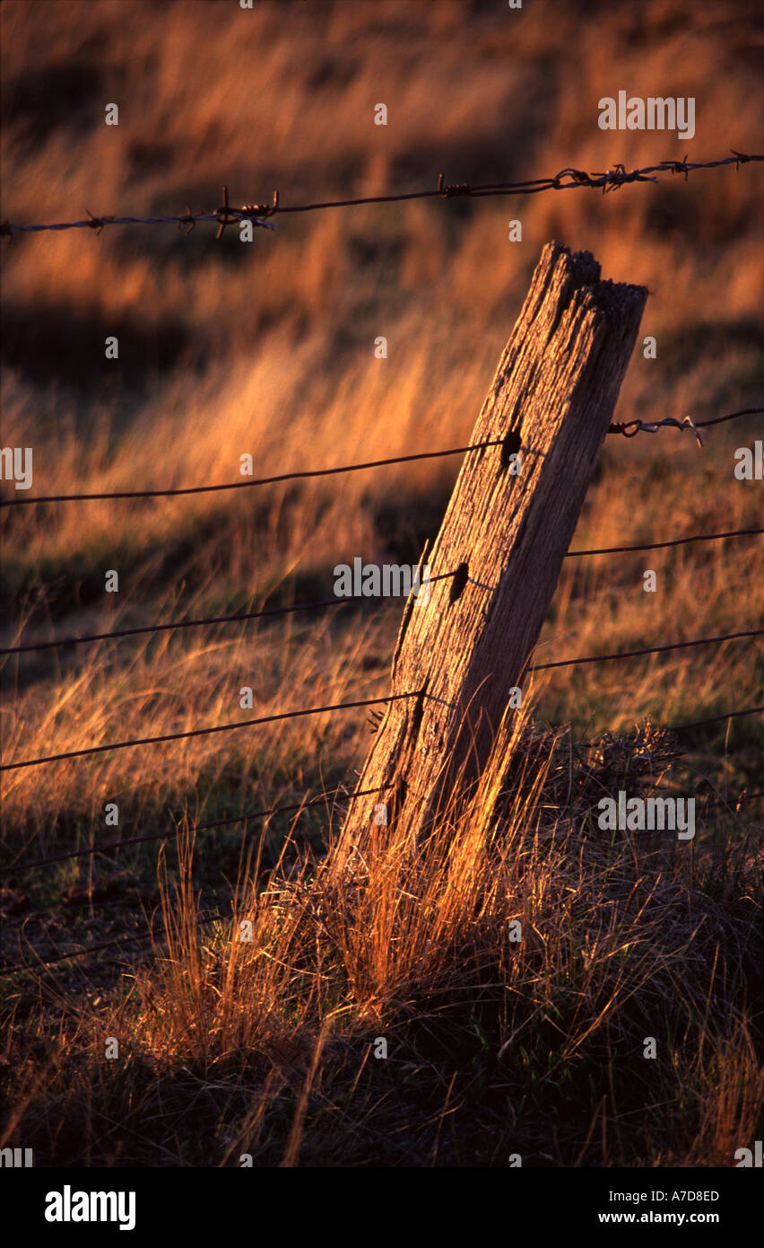 Old leaning fence post hi-res stock photography and images - Alamy