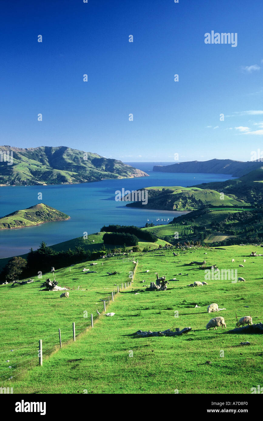 Akaroa Harbour Banks Peninsula New Zealand Stock Photo Alamy