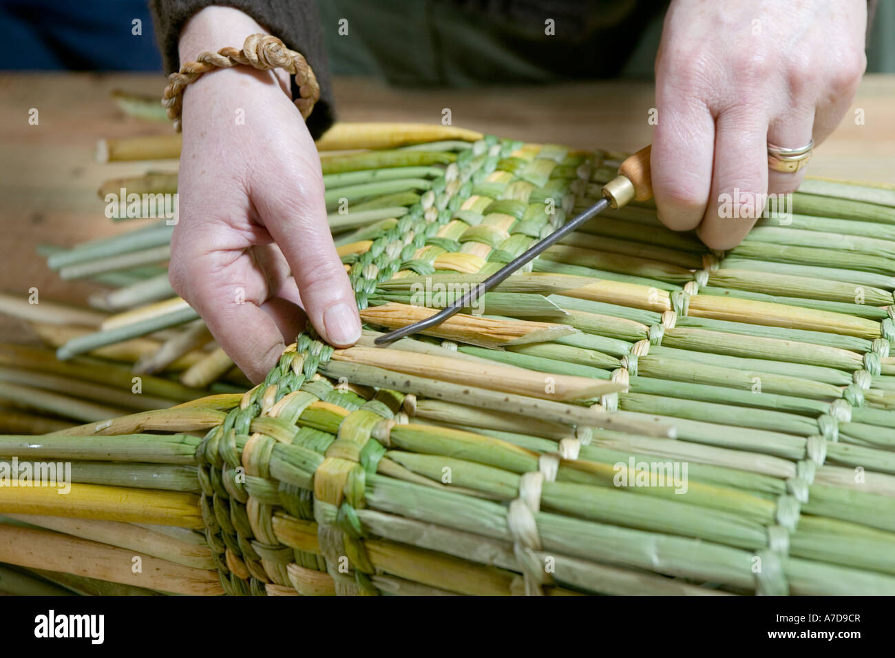 Anna Lewington making a basket with rushes harvested in a traditional and sustainable way from the River Stour in Dorset, Stock Photo