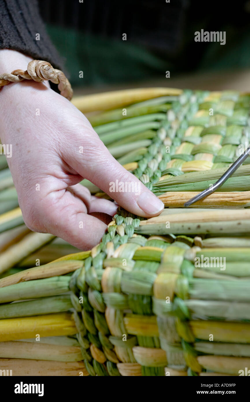 Anna Lewington making a basket with rushes harvested in a traditional and sustainable way from the River Stour in Dorset, Stock Photo
