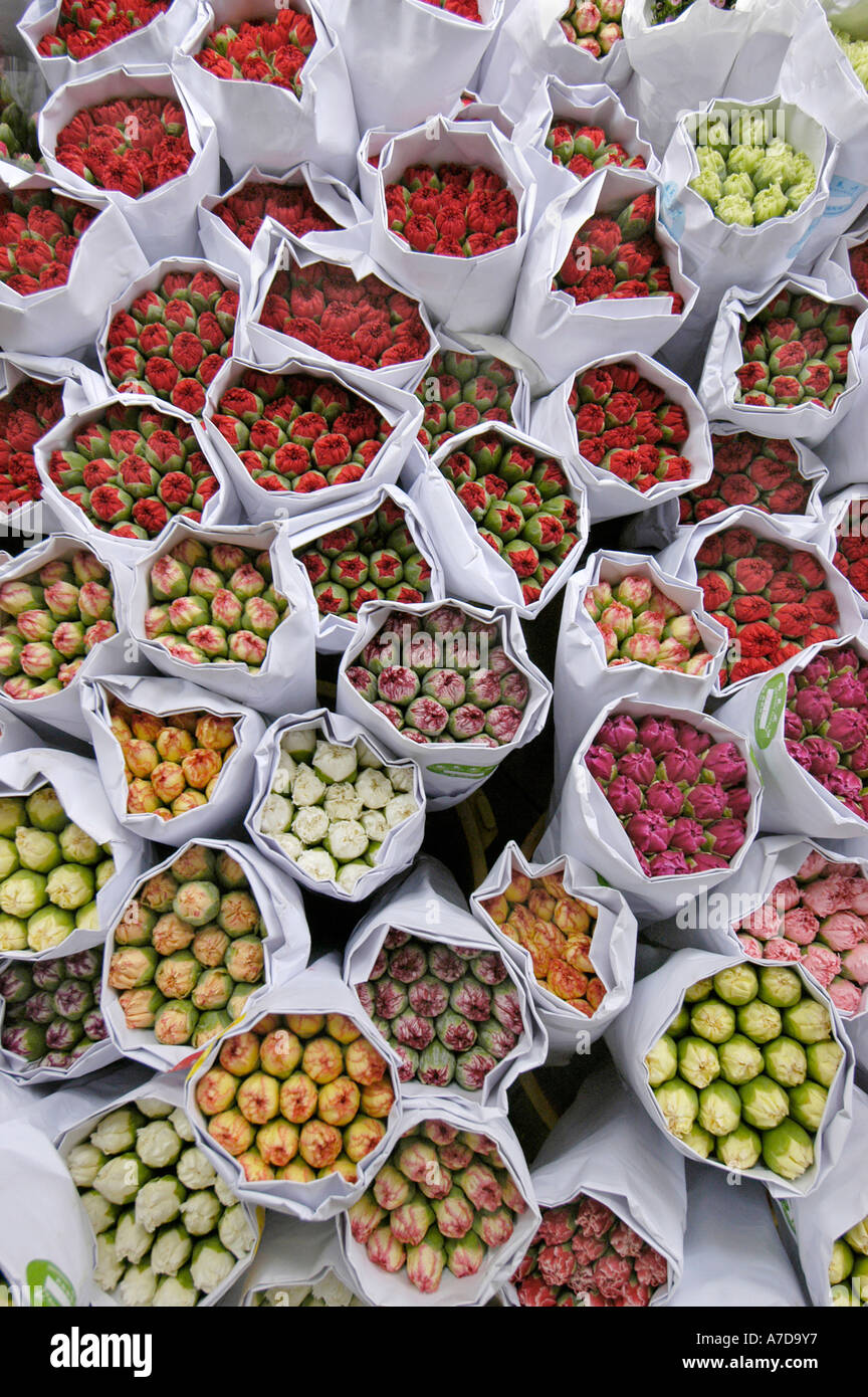 Flowers on the flower market of Hong Kong, China Stock Photo Alamy