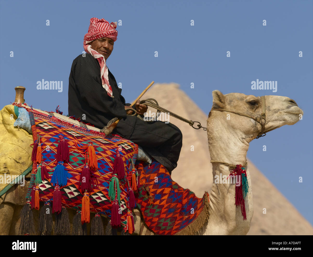 Giza, Cairo Camel Rider Stock Photo - Alamy