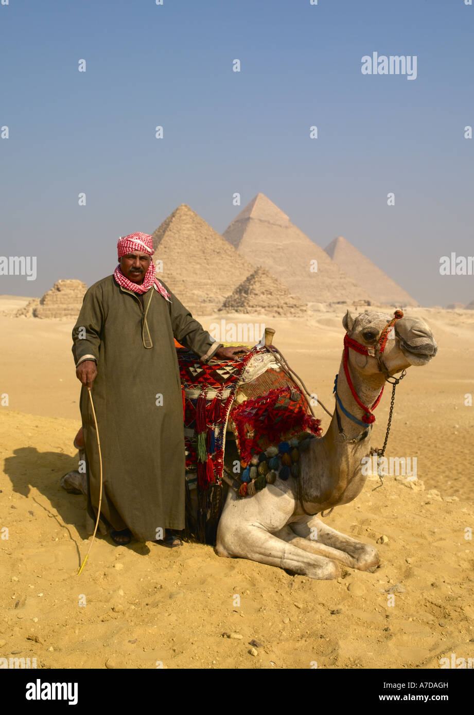Giza, Cairo Camel Rider Stock Photo - Alamy