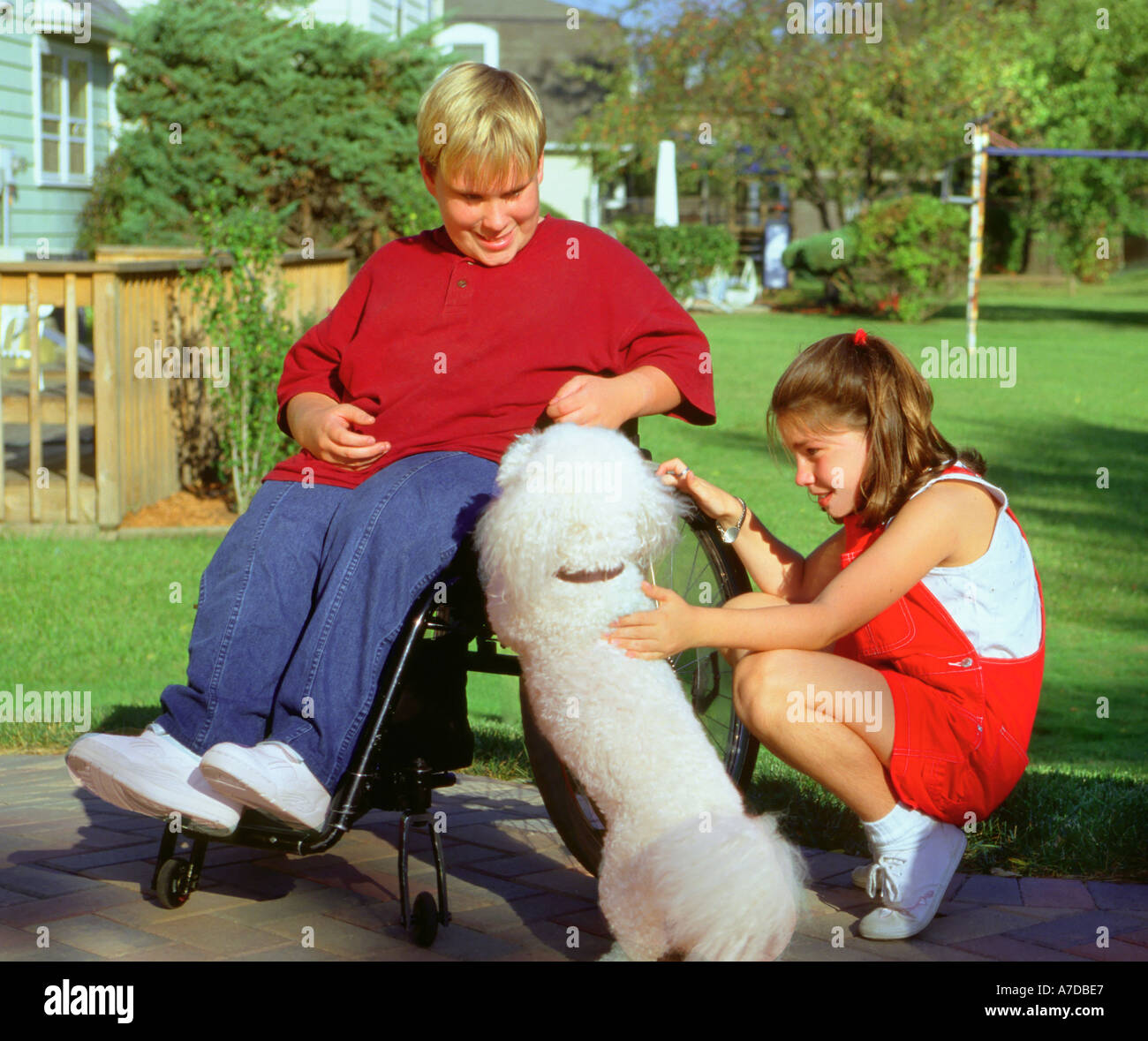 Disabled boy in wheelchair and girl petting a dog Stock Photo Alamy
