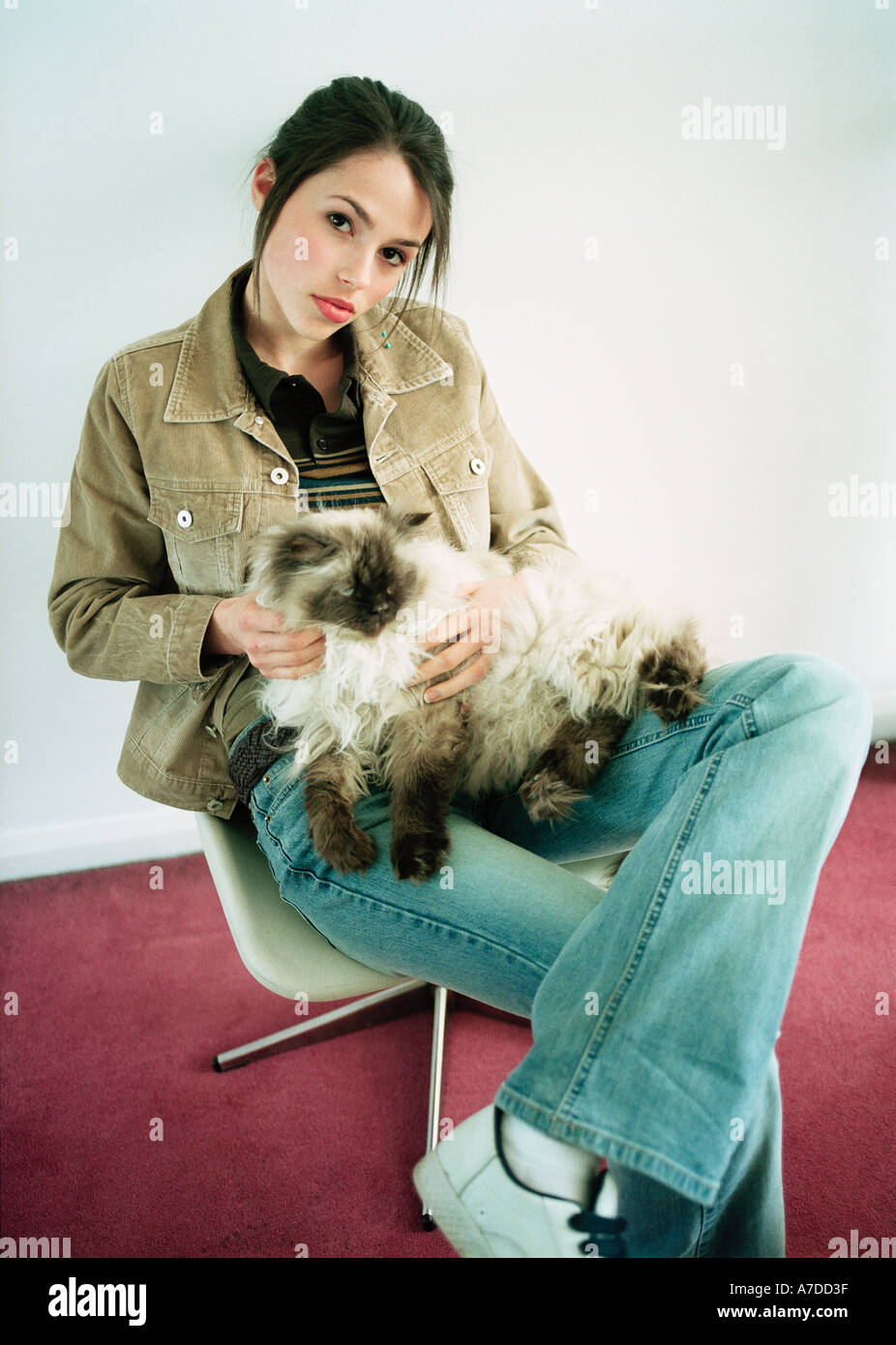 TEENAGER HOLDING BIG FUR CAT IN HER LAP Stock Photo