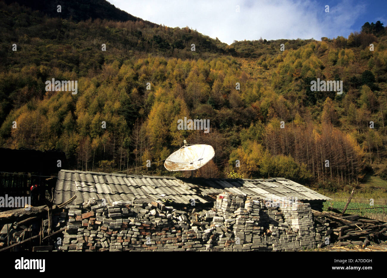 Chinese store satellite dish