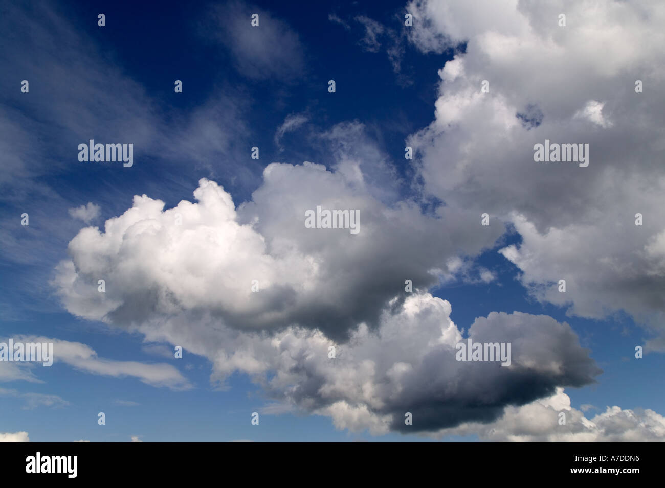 Blue sky with cumulus clouds Stock Photo - Alamy