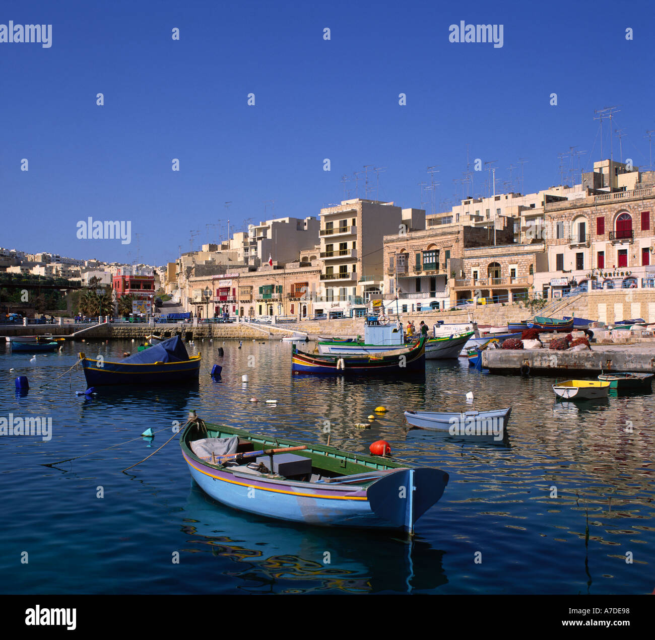 My Image 6