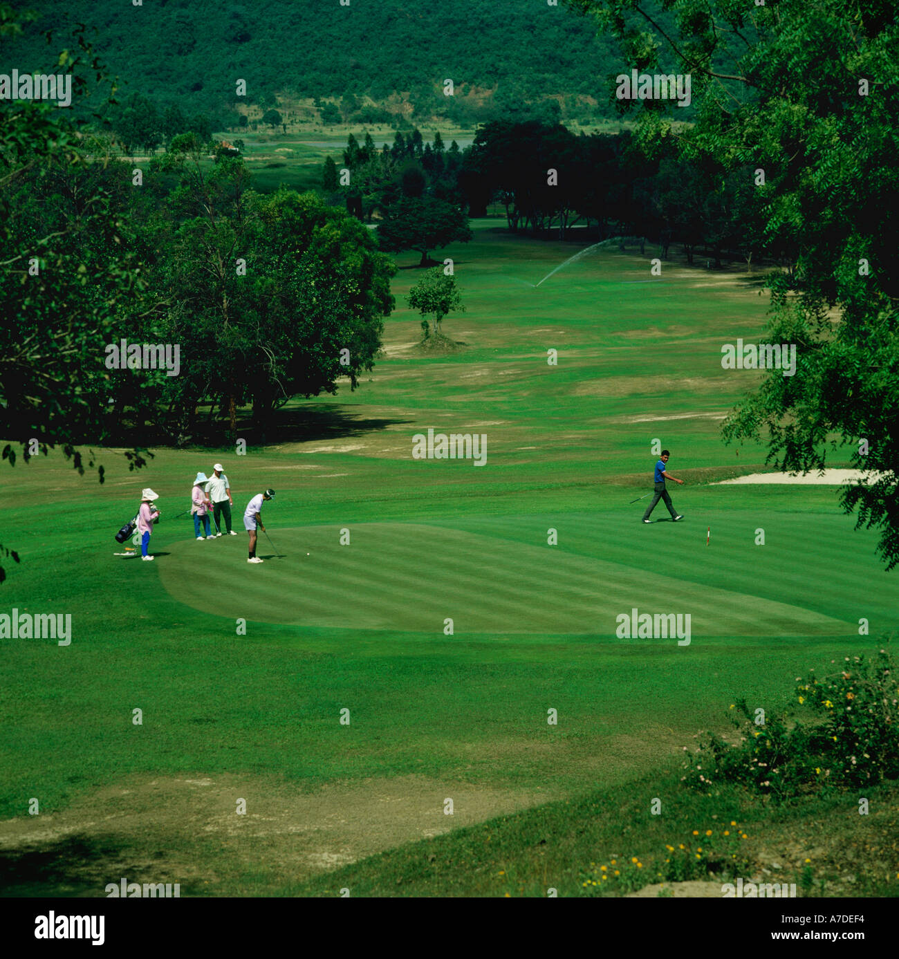 Golf in play on green with players and caddies at Plutaluang Royal Thai Navy Golf Course, Pattaya, Thailand Stock Photo