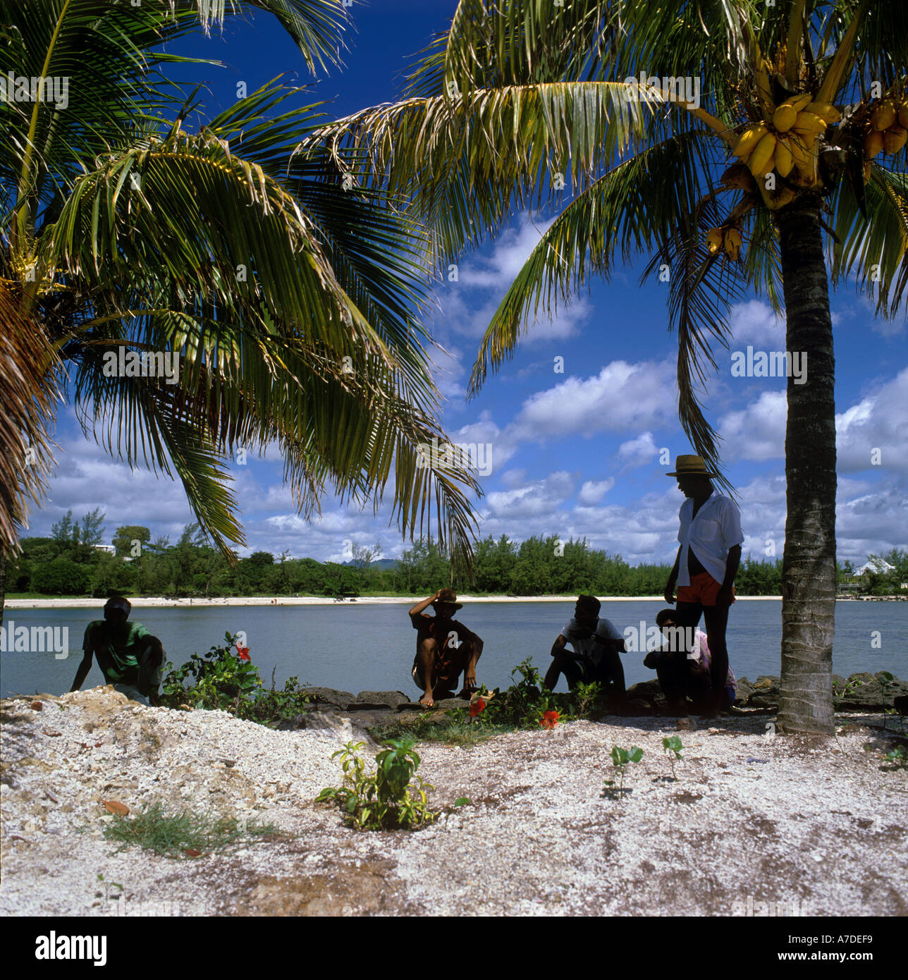 Mauritian men sheltering from the sun under palm trees by seashore, Troux-aux-Cerfs, island beach and trees visible behind, Mauritius, Indian Ocean Stock Photo