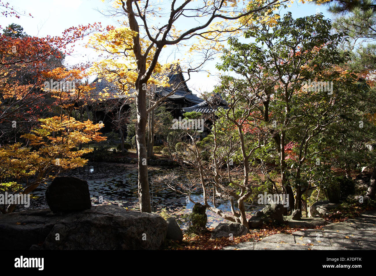 Red and gold autumn maple tree leaves with pool in Nanzenji Konchi in temple city of Kyoto Japan Asia Historic traditional buil Stock Photo