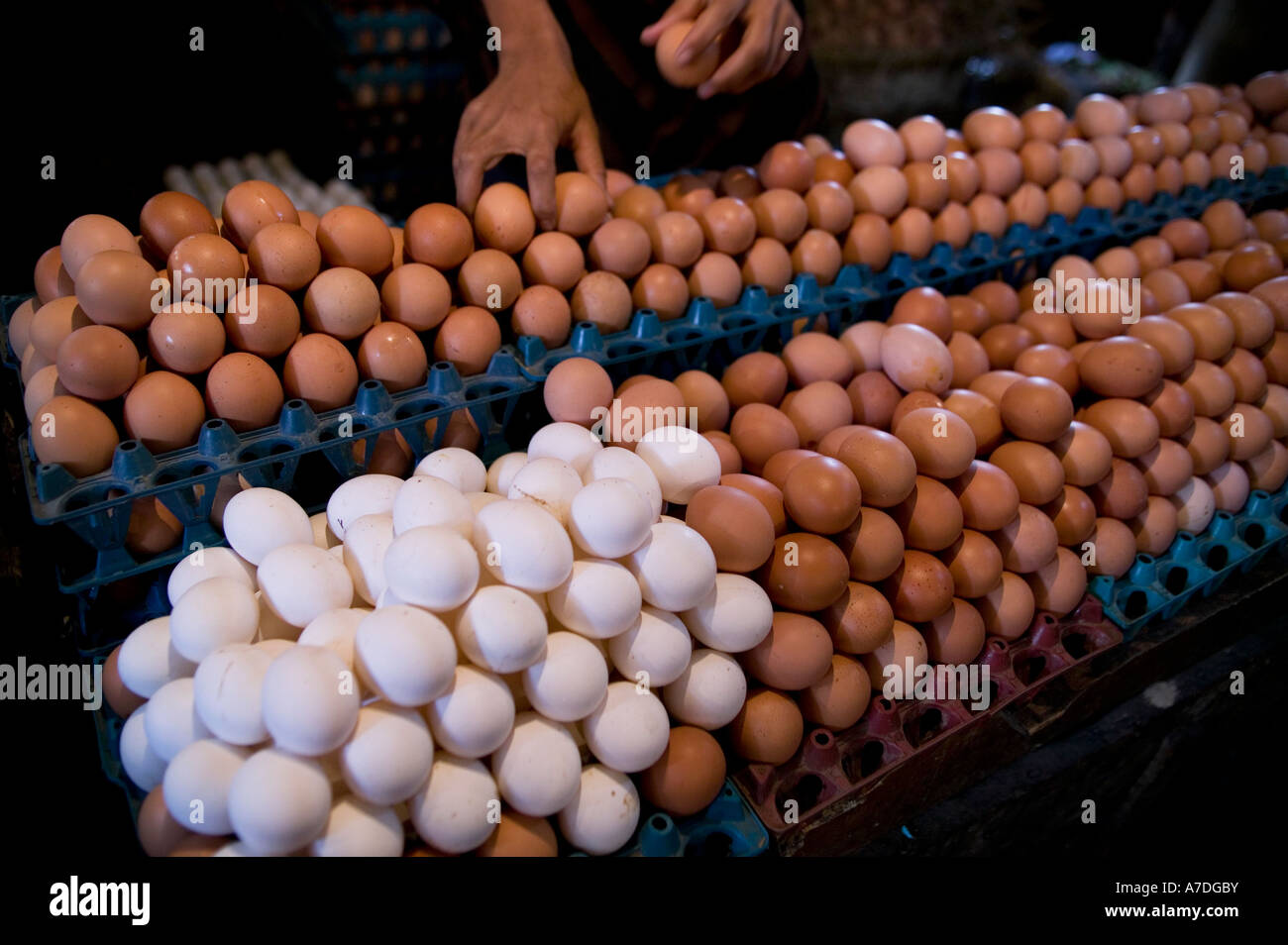 Brown and white eggs for sale in market in Dhaka Bangladesh Stock Photo