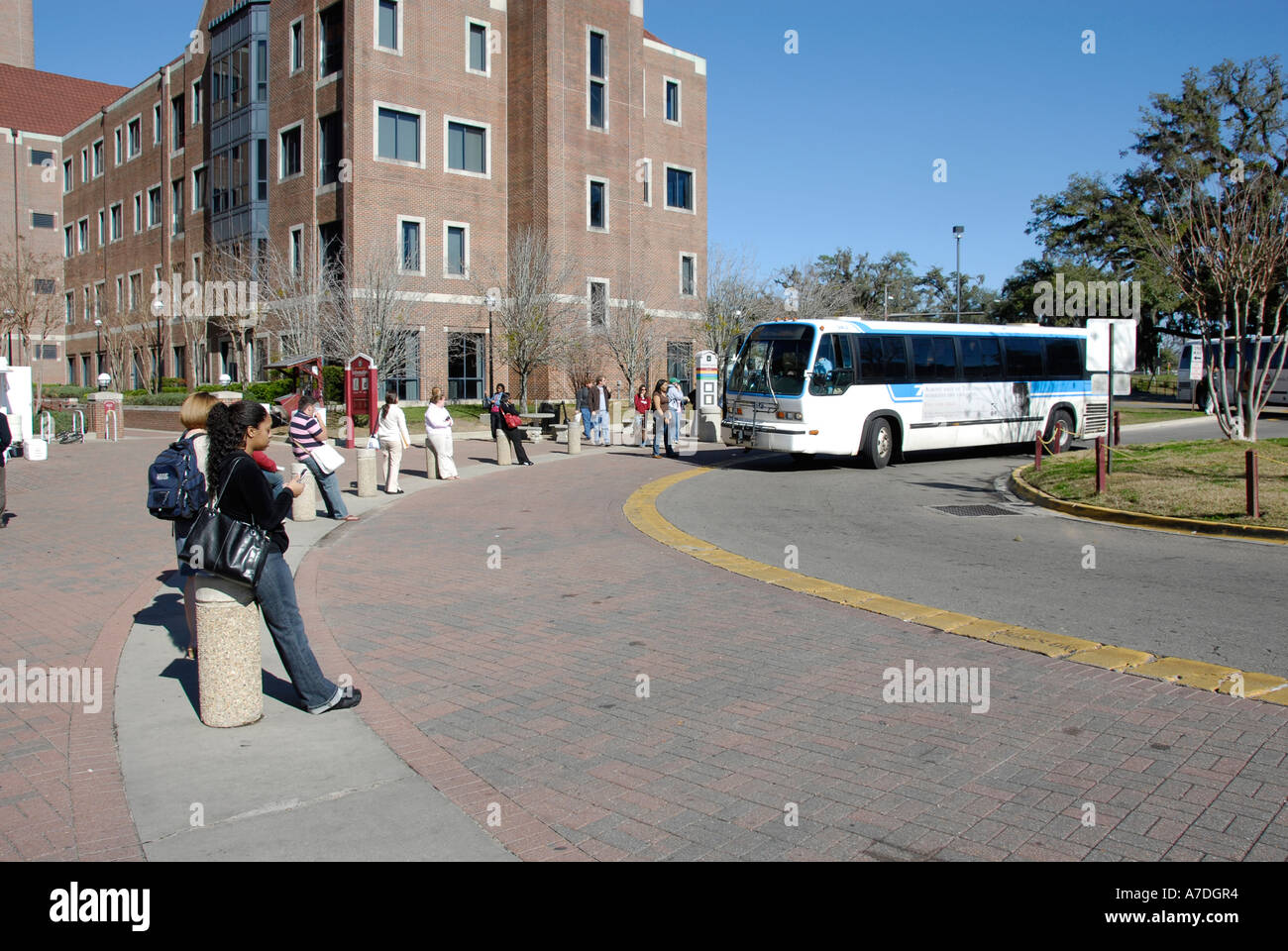 Students wait for public bus transportation on the Florida State University Campus Tallahassee Florida FL Seminoles Stock Photo
