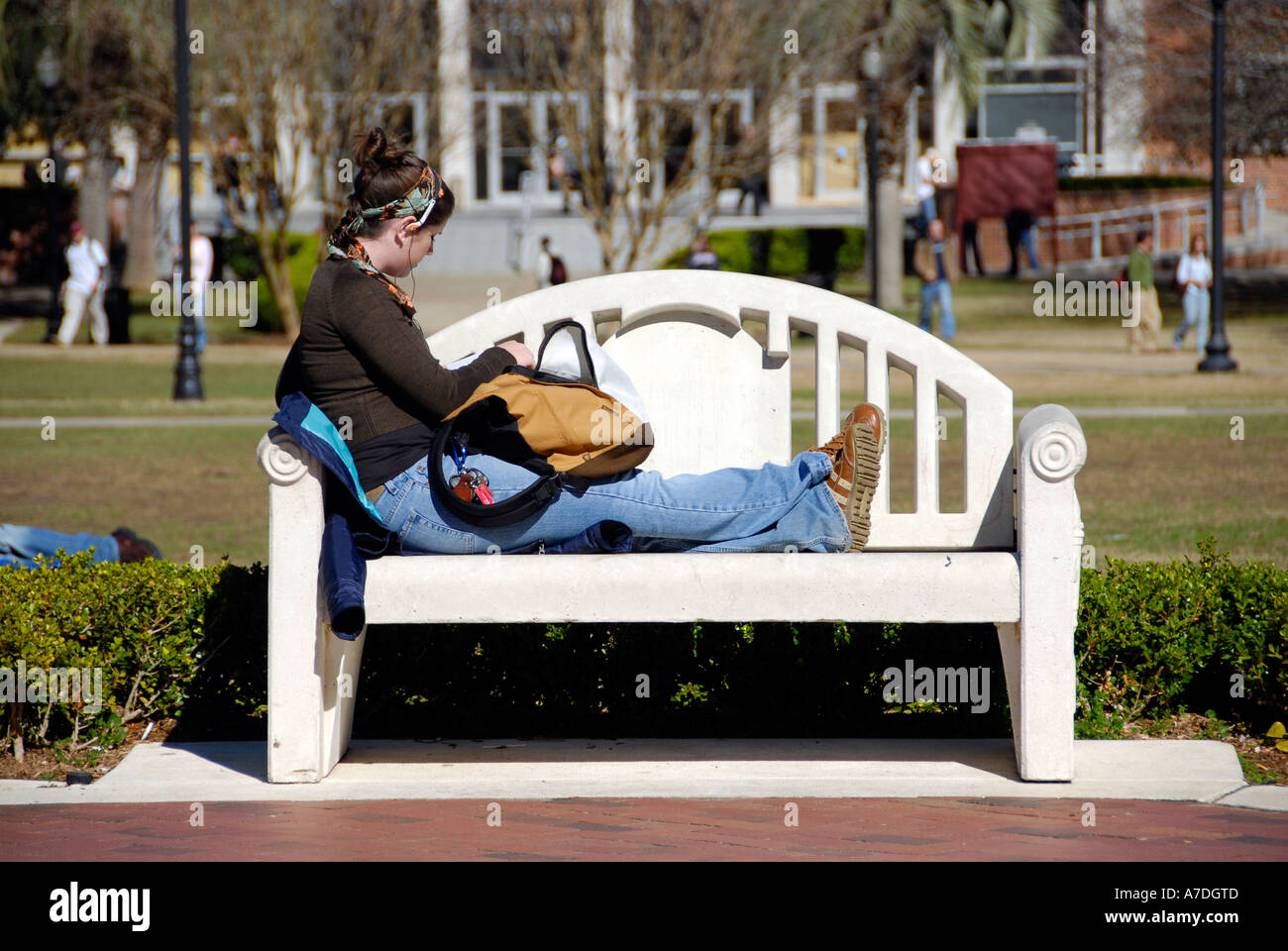 Student studies outside between classes on the Florida State University Campus Tallahassee Florida FL Seminoles Stock Photo