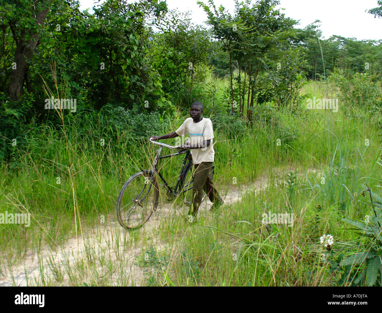 Young black man pushing his bike on small road going through Miombo forest in the Copperbelt province of Zambia, Southern Africa Stock Photo