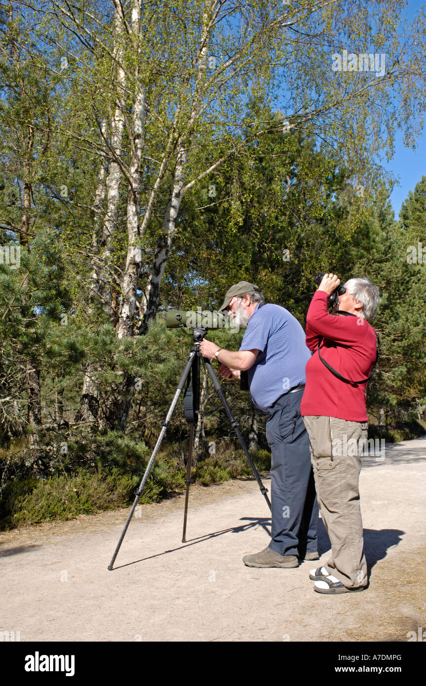 Bird Watchers exploring woodlands near Aviemore in the scottish Highlands.  XPE 6359 Stock Photo