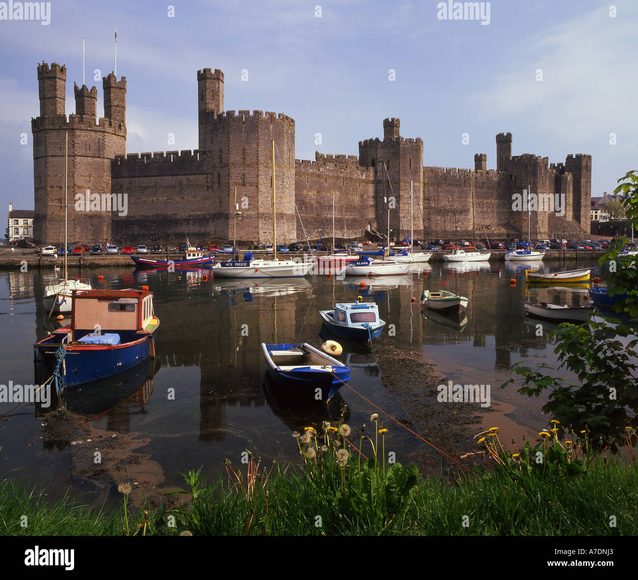 Fishing Boats Below Caernarfon Castle, Gwynedd, North Wales, UK Stock